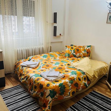 Apartament Cornelia Buzau Ngoại thất bức ảnh